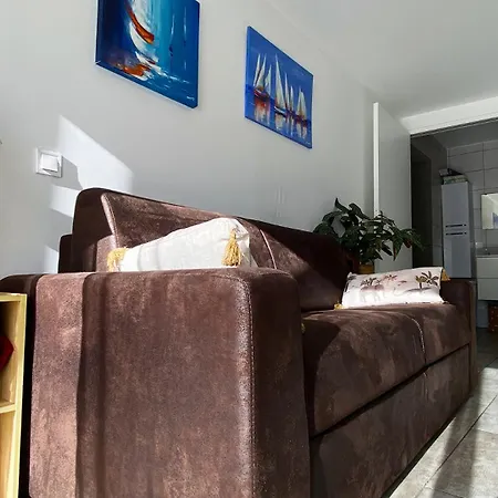 Lumineux Climatise Petit Jardin Et Parking