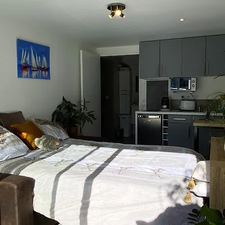 Lumineux Climatise Petit Jardin Et Parking * Perpignan