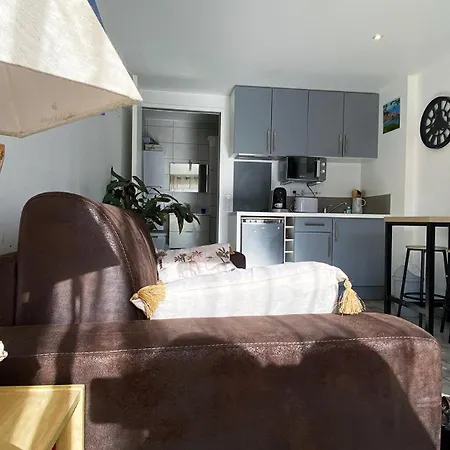 Apartmán Lumineux Climatise Petit Jardin Et Parking *