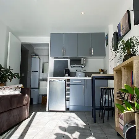 Lumineux Climatise Petit Jardin Et Parking Daire *