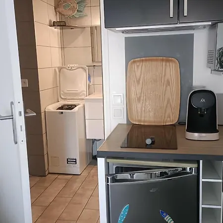 Lumineux Climatise Petit Jardin Et Parking Apartmán Perpignan