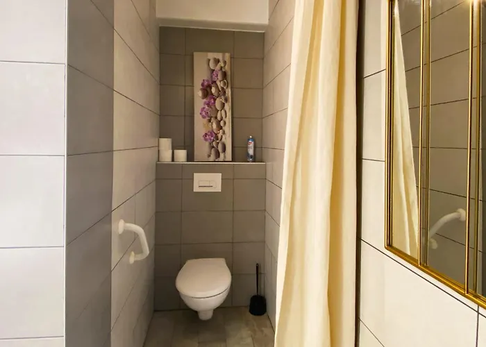 Clair, Climatise Avec Jardin Et Parking Appartement Perpignan