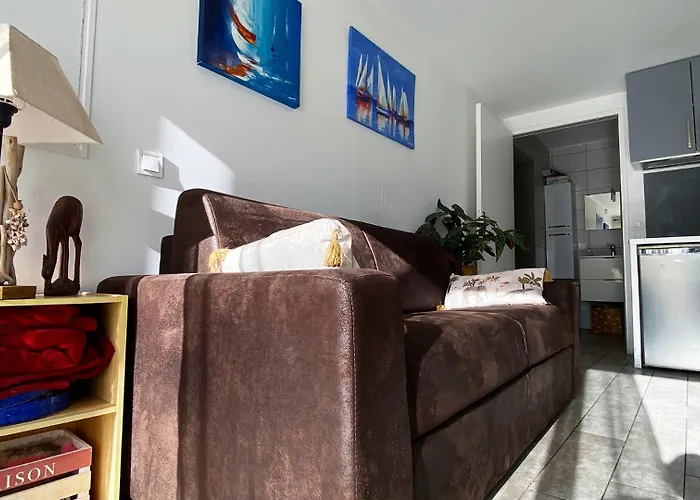 Lumineux Climatise Petit Jardin Et Parking