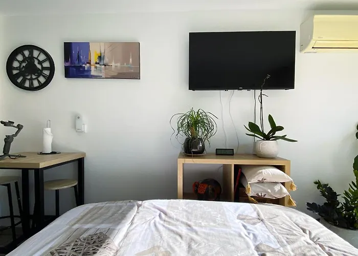 Clair, Climatise Avec Jardin Et Parking *