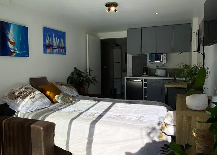 Lumineux Climatise Petit Jardin Et Parking * Perpignan