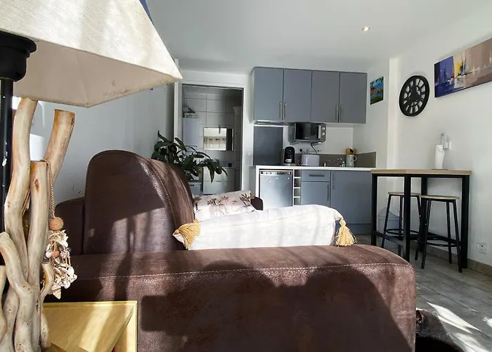 Daire Lumineux Climatise Petit Jardin Et Parking *