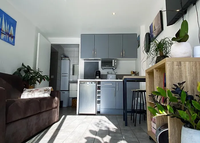 Lumineux Climatise Petit Jardin Et Parking Daire *